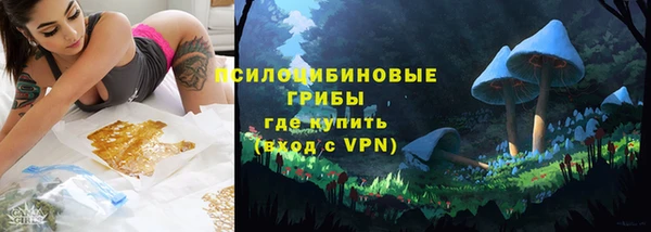 гидропоника Алексин