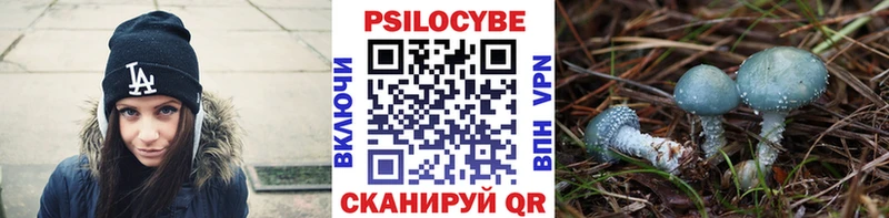 Псилоцибиновые грибы прущие грибы  блэк спрут онион  Приморск 